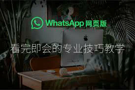 WhatsApp个人资料图片的大小是多少？