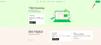 WhatsApp双检查标记？